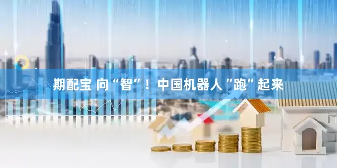期配宝 向“智”！中国机器人“跑”起来